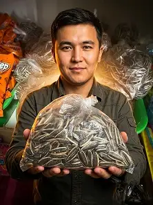 ХИТ Семечки